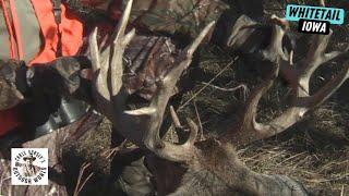 Exciting Finish to Iowa Deer Drive