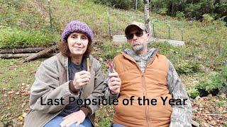 The Last Harvest before Frost & the Last Popsicle of the Year