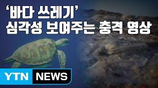 [자막뉴스] '바다 쓰레기' 심각성 보여주는 충격 영상 / YTN