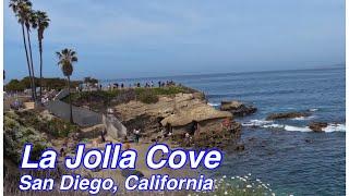 LA JOLLA COVE, SAN DIEGO CALIFORNIA USA / WALKING TOUR 2022