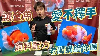 中國風金魚【魚缸營養補給飼料添加使用方法/讓金魚愛不釋手的魚場飼料配方比例】＃官網購物賣場