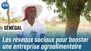 Des Sénégalaises redéfinissent l'agriculture et l'entrepreneuriat numérique