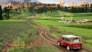 Nomal To Naltar Valley Jeep Track Gilgit Baltishan 2021 | Travel Guide | Travel Vlog 2021 Road Trip