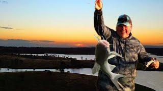 Wivenhoe Dam Land Based bait fishing