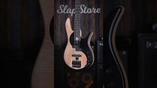 Showcase: Fodera Yin Yang Standard (Series I) #fodera #slapstore @Foderaguitars