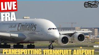 Live Sunday Planespotting Frankfurt Airport  Türkish Airlines A350  in FRA