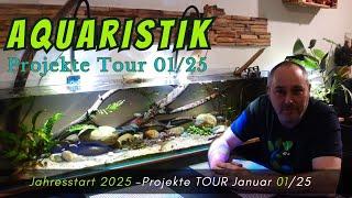 Aquaristik Jahresstart 2025:  Projekte Tour Januar 01/25