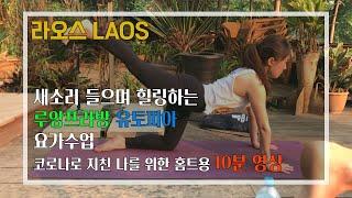 라오스 루앙프라방 유토피아 요가수업 따라하기 10분 | 10min Yoga in Laos Luang Prabang Utopia |  초급 요가 | Yoga for beginners