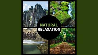 Natural Relaxation