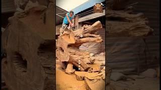 Majestic Masterpiece: Sculpting a Giant Eagle from a Hundred-Year-Old Tree Root