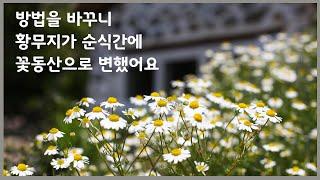 황무지를 단번에 꽃으로 가득채우는 방법 | 여성가드너에게 꼭 필요한 농기구 추천 | 몇년 키워봐야 알게 되는 노지월동 식물의 속사정