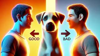 Can Your Dog Really Tell Who's Good or Bad? Plus 6 Other Astonishing Facts About Their Abilities!