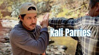 How to Parry - Kali Empty Hand Basics (Panantukan)