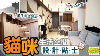 【塞錢入你袋】舊屋翻新　為主子打做專屬空間