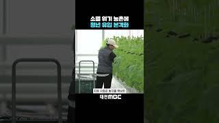 #shorts [자막뉴스(12.31)] 소멸 위기 농촌에 청년 유입 본격화