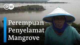 Perempuan Terakhir yang Berjibaku Menanam Bakau yang Tersisa di Pesisir Demak, Jawa Tengah