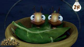 Orphaned |  Antiks & Insectibles  | Funny Cartoons for Kids | Moonbug