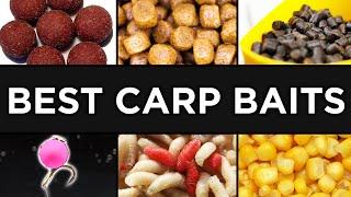 20 Carp Baits + Where and How to Use Them