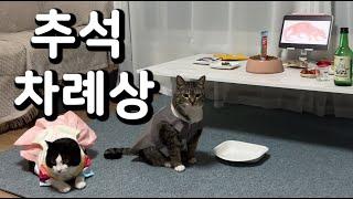 [빈봉지브이로그] 명절을 즐기다 (ft.유교묘)