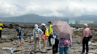 台灣  東北角 紀錄  SDGS  環境永續  生態 導覽 生態 生活 社會 生長 農業 天氣 心情 食物