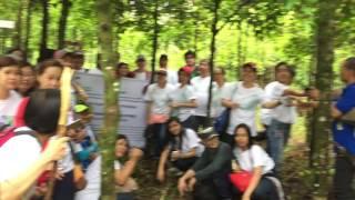 LANDBANK of the PHILIPPINES Tree-Planting Birthday Song in the Forest