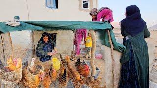 The Chicken Project : Sakineh and Her Kids' Path to Entrepreneurship