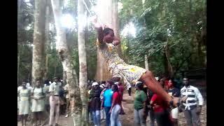 BEST TEACHER OTOO VISITS BIG TREE WITH STUDENTS