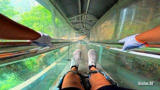 EPIC! Sliding All the Way Down a Mountain & INSANE Glass Bridge | NEVER in America Slide