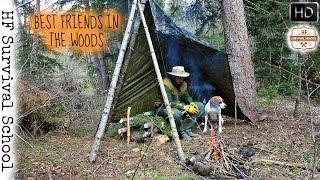 Building A Bushcraft Basecamp - Part 3 - The Lean To A Frame Shelter