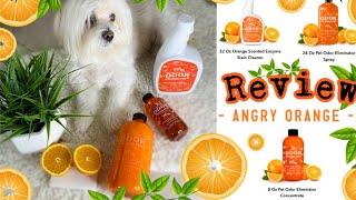 ANGRY ORANGE Pet Odor Eliminator, Urine Remover and Deodorizer, NON TOXIC I Lorentix