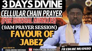 FAVOUR OF JABEZ-DIVINE CELLULAR CHAIN PRAYER FOR UNUSUAL MIRACLES (9am session) WITH FR.EBUBE MUONSO