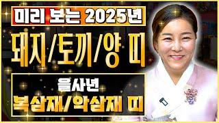 미리보는 2025년 삼재특집 2025년 을사년에 최악의 삼재띠는 어떤 띠가 있을까? 토끼띠 양띠 돼지띠 삼재띠 분들은 꼭 미리 알고 예방하세요 그래야 나에게 복이 옵니다.