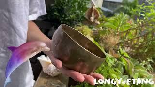 海豚聲音療癒 Dolphin singingbowl sound healing