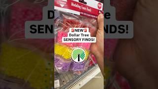 Find These New Sensory Play Finds at Dollar Tree! #dollartreefinds #sensoryplay #sensoryactivities