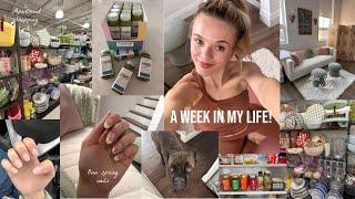 VLOG: Week In My Life!  New Puppy, Fresh Nails, Health Kick, Shopping, Etc