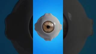 Cataract surgery Animation || Medic school ||Dr Ayesha Riaz