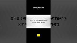 초등생 필수 퀴즈 5문제 \ 매일 상식 키우기 \ 영재로 키우기 \ 뇌건강 \ 지식퀴즈