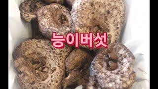 국산 능이버섯 500g 12만원 판매요 (22년9월27일발송) 연락처 010 3413 4816 푸른식품 어제는 산림조합 경북청송 능이가 키로 41만원에 입찰된것 보구 깜짝 놀랬네요