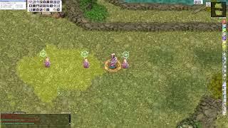 Ragnarok Online - Adoramus Testing