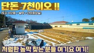 [여주 더좋은부동산][매매]  단돈 7천 !! 저렴한 농막, 하우스 찾으시는 분들 여깁니다! 여기