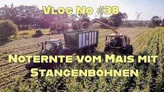 Farm-Vlog #38 Noternte mit Hindernissen und Begleitung