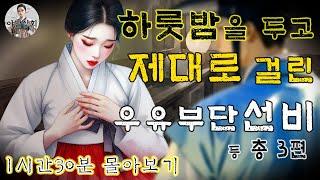 [야담상회 몰아보기] 하룻밤을 두고 제대로 걸려버린 우유부단한 선비의 내막 외 총 3편 [1시간] | 야담이야기, 옛날이야기, 설화, 전설, 괴담