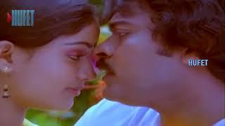 Megastar Chiranjeevi - Dhairyavanthudu Movie  - Nenu Gonthethi Video Song