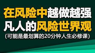 从风险的角度重新认识世界，普通人也能轻松使用的策略，黑天鹅、反脆弱与非对称风险【德荣】