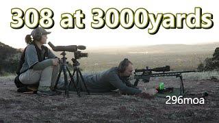 308 at 3000yards