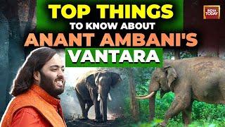 Why Anant Ambani built "Vantara", a 3,000 acre animal rescue and rehab centre?