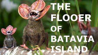 The Flooer of Batavia Island