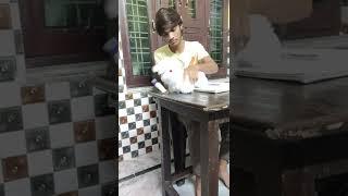 like and subscribe️ |AAMIR ANSARI | #viral #comedy #comment #shorts #share #enjoy #editing
