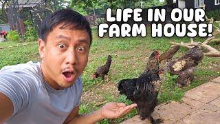 A Week at Our Farm House | Vlog #1749