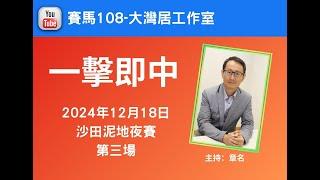 章名@賽馬108-大灣居工作室:12月18日沙田泥地夜賽心水-R3 #hkjc #香港賽馬 #賽馬貼士 #賽馬#沙田賽事#泥地夜賽